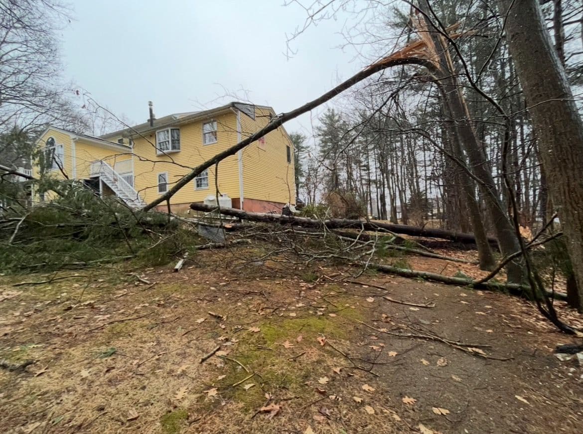 Fast Tree Removal After Storm Hits Local Area